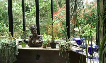 Imagem 5: Para Você se apaixonar