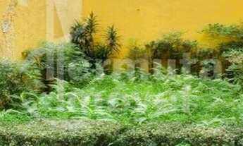 Imagem: Terreno comercial para venda com 32m² plano