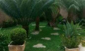 Imagem 7: Apartamento-Padrao-para-Venda-em-Jardim-Nova-Europa-Campinas-SP