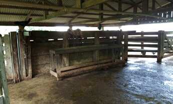 Imagem 2: Vende se chácara