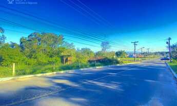 Imagem 3: Área com 5.000m² a venda próximo a Antônio Heil em Itajaí