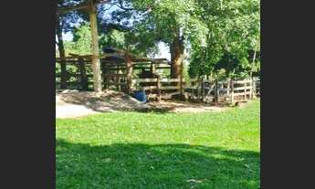 Imagem 2: Fazenda Top 133 Alqueires ITapuranga 120 mil por Alqueires