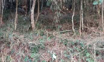 Imagem 4: Lote/Terreno para venda possui 990 metros quadrados em Panorama - Teresópolis - Rio de Jan