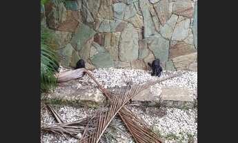 Imagem 5: SOBRADO COMERCIAL NA AV. IMIRIM