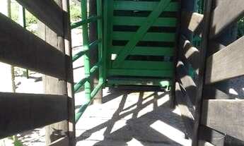 Imagem 4: São João D'Áliança - GO