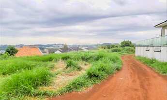 Imagem 2: Vendas Terreno Pato Branco PR