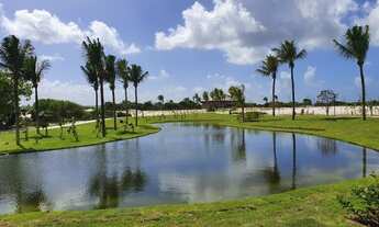 Imagem 4: Lote/Terreno para venda com 450 metros quadrados em Amado Bahia - Mata de São João - BA