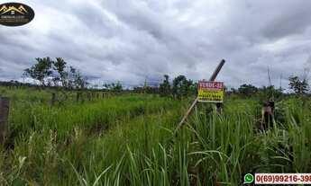 Imagem 7: Vendo Ótimo Sítio, Super Barato