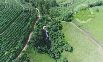 Imagem 6: Vendo fazenda produtora de Cafés e culturas orgânicas em Carmo de Minas MG
