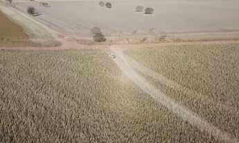 Imagem 2: 160 alqueires em Santa Cruz Goias