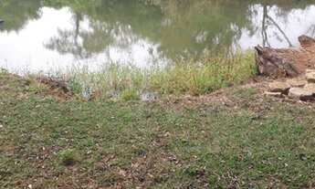 Imagem 6: Fazenda 23 alqueires em Caturai-Go