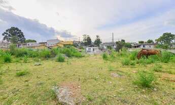 Imagem 7: Lote/Terreno para venda com 4357 metros quadrados em Jardim Apucarana - Almirante Tamandar