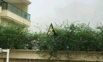 Imagem 3: Apartamento Apartamento com 2 dormitórios