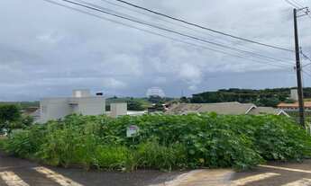 Imagem 4: Vendas Terreno Pato Branco PR