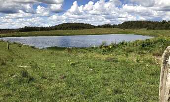 Imagem 4: VENDO ÁREA DE TERRA COM 41,5 HECTARES EM JAQUIRANA