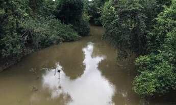Imagem 6: Vendo fazenda em Cristalândia TO