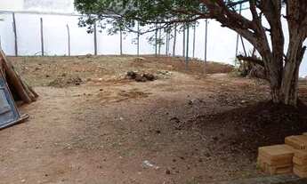 Imagem 2: Lote reserva do bosque eucalipitos