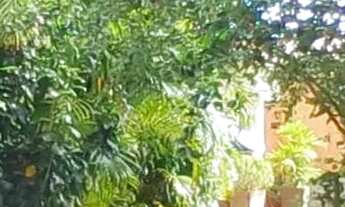 Imagem 4: Apt mobiliado na praia