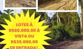 Imagem 2: Uma nova oportunidade para uma nova vida