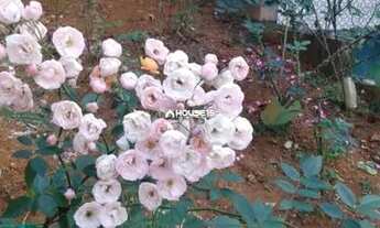 Imagem: MARECHAL FLORIANO - Chácara - Marechal