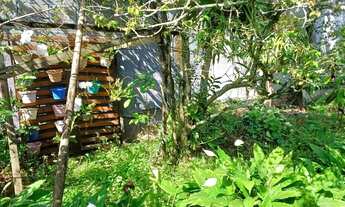 Imagem 5: Casa Venda Aceita Permuta