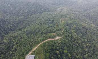 Imagem 2: Lote/Terreno para venda com 2000 metros quadrados em Centro - Campo Alegre - SC