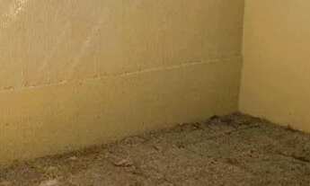 Imagem 3: Aproveite a oportunidade FALAR COM PAULO 27.