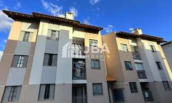 Imagem 2: CURITIBA - Padrão - Cajuru