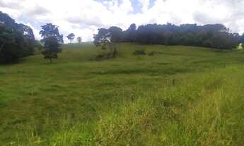 Imagem 3: Vende-se chácara de 06 alqueires em Itauçu-Go