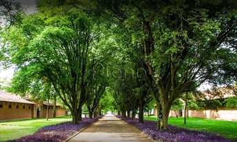 Imagem 4: Terreno - Residencial Haras Patente - Jaguariúna