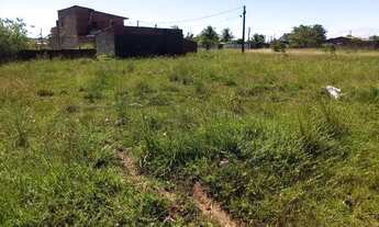 Imagem 2: Repasso terreno em catuama