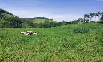 Imagem: Sítio 20.000 metros²