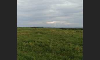 Imagem 3: Vendo fazenda no Vale do Araguaia TO
