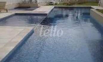 Imagem 4: São Paulo - Apartamento Padrão - Vila Bertioga