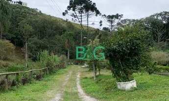 Imagem 6: Chácara com 4 dormitórios à venda, 480000 m² por R$ 900.000,00 - Estância São Domingos - S