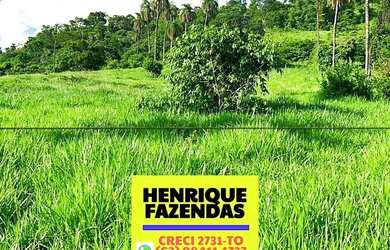 Imagem 4: Fazenda excelente para criação e engorda 80 alqueires com 75 alqueires