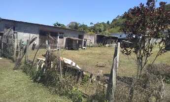 Imagem 6: Chácara estrada chaparral com 2500 mts com casa simples de 03 comodos