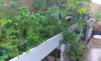 Imagem 5: Aluga-se Casa no Said Salomão (R$ 1.200,00