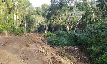 Imagem 7: Uma nova oportunidade para uma nova vida