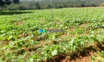 Imagem 3: CORDISBURGO - Fazenda - Zona Rural