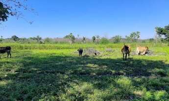 Imagem 5: Terreno na Santa Maria da Codipi em Teresina-PI