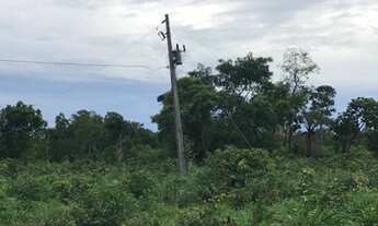 Imagem 4: Vendo fazenda em Cristalândia TO