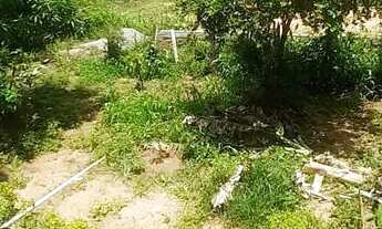 Imagem 7: Casa em barra do pojuca(itacimirim