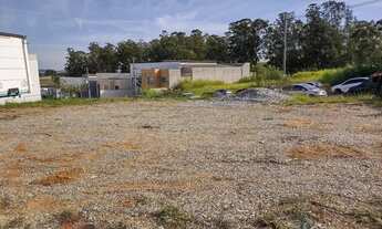 Imagem 2: Macuco à venda em Valinhos