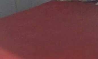 Imagem 2: APTO UM DORM MOBILIADO