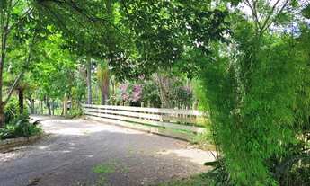 Imagem 5: Chácara para venda com 26000 m² - Campo Alegre - SC