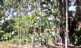 Imagem 7: área - Barão Geraldo - Campinas