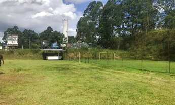 Imagem 3: AREA - LARANJA AZEDA - SP