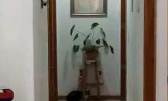 Imagem 7: Casas Padrão em Poços de Caldas