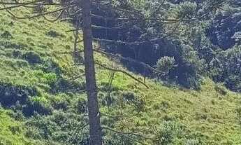 Imagem: Área aprox. 40.000 m2 em Vargem Alta, Nova